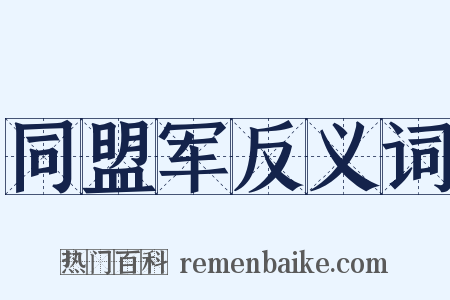 同盟军反义词是什么意思的图片